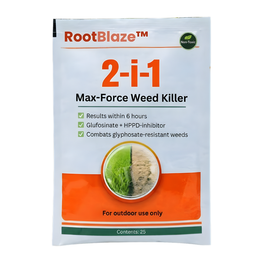 RootBlaze